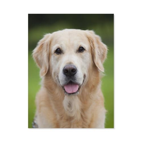 GSBRSNTS 5D diy Diamond Painting，Golden Retriever Haustier Hund Tier，Full Round Diamantstickerei Mosaik Kreuzstichmuster Perlenstickerei Home Deco（40 x 50 cm/15.74 x 19.68 Zoll）-B69 von GSBRSNTS