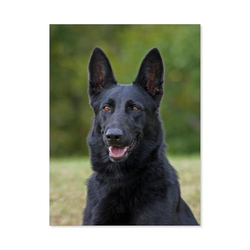 GSBRSNTS DIY 5D Diamond Painting Cross Stitch，Schwarzer Deutscher Schäferhund，Round Drill Arts Diamond Embroidery Rhinestones Painting Beadwork（30 x 40 cm/11.81 x 15.74 Zoll）-E98 von GSBRSNTS