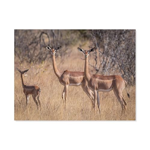 GSBRSNTS DIY Diamond Painting Set，Antelope Giraffe Gazelle，Diamantmalerei, handgemachte Stickerei Geschenke für Erwachsene/Kinder(40 x 50 cm/15.74 x 19.68 Zoll)-F8 von GSBRSNTS