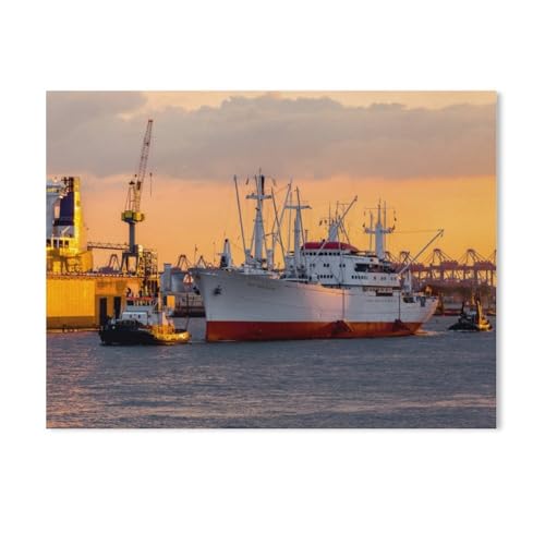 GSBRSNTS DIY Diamond Painting Set，Cap San Diego bei der Einfahrt in den Hafen，Diamantmalerei, handgemachte Stickerei Geschenke für Erwachsene/Kinder（30 x 40 cm/11.81 x 15.74 Zoll）-AE28 von GSBRSNTS