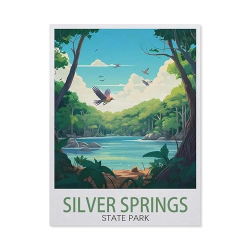 GSBRSNTS DIY Malen nach Zahlen，Silver Springs State Park，diy malen nach zahlen erwachsene landsch Mit Pinsel und Acrylfarbe Erwachsenenfarbe nach Zahlen Kits Kunst（50x60cm） 19.6x23.6 Zoll-W74 von GSBRSNTS
