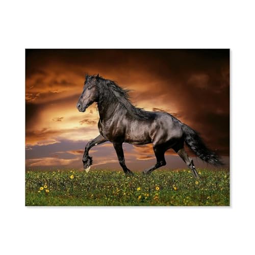 GSBRSNTS Friese in der Dämmerung,Malen nach Zahlen Set für Erwachsene Kinder Anfänger selber auf Leinwand malen nach Zahlen zur Heimdekoration(50x60cm-B60 GSBRSNTS Friese in der Dämmerung,Malen nach Zahlen Set für Erwachsene Kinder Anfänger selber auf Leinwand malen nach Zahlen zur Heimdekoration(50x60cm-B60 von GSBRSNTS