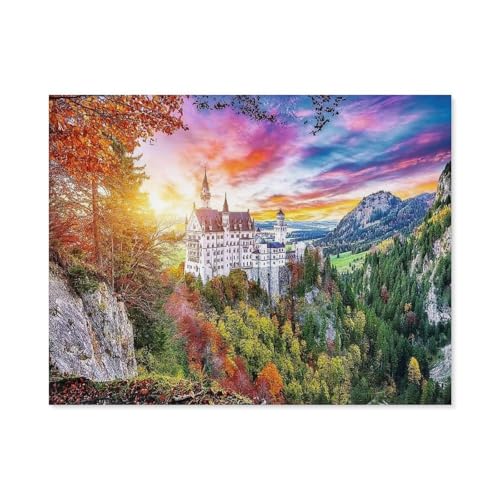 GSBRSNTS Full Round Drill 5d DIY Diamond Painting，Blick auf Neuschwanstein, Deutschland，Diamond Embroidery Wall Home Decoration Kids Gift(50 x 60 cm/19.68 x 23.62 Zoll)-D100 von GSBRSNTS