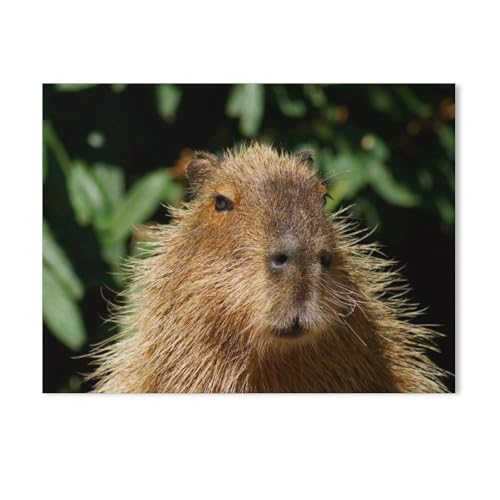 GSBRSNTS Malen Nach Zahlen Erwachsene，Wasserschwein，DIY Handgemalt Ölgemälde Kit für Anfänger und Erwachsene,kreatives Geschenk, Home Deko（40x50cm） 15.7x19.6 Zoll-AA81 von GSBRSNTS