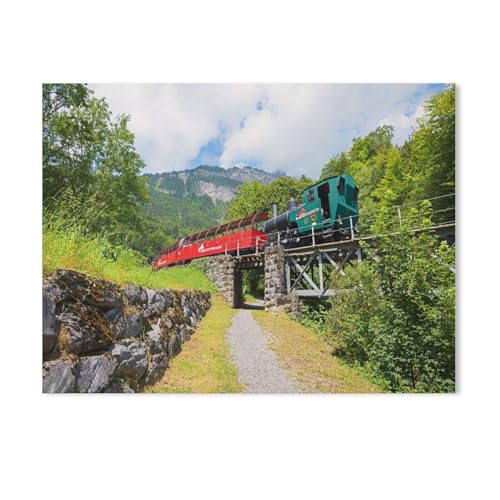 GSBRSNTS Malen nach Zahlen，Brienzer Rothornbahn，diy malen nach zahlen erwachsene landsch Mit Pinsel und Acrylfarbe Kits Theme Digital Home Wall Artwork（50x60cm） 19.6x23.6 Zoll-Y46 von GSBRSNTS