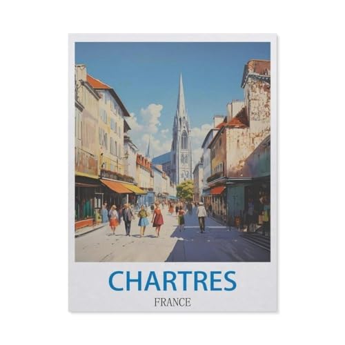 GSBRSNTS Malen nach Zahlen，Chartres, Frankreich，diy malen nach zahlen erwachsene landsch Mit Pinsel und Acrylfarbe Kits Theme Digital Home Wall Artwork（50x60cm） 19.6x23.6 Zoll-Q6 von GSBRSNTS