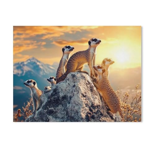GSBRSNTS Malen nach Zahlen，Erdmännchen，diy malen nach zahlen erwachsene landsch Mit Pinsel und Acrylfarbe Kits Theme Digital Home Wall Artwork（30x40cm） 11.8x15.7 Zoll-Y6 von GSBRSNTS