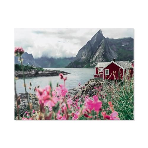 GSBRSNTS Malen nach Zahlen Kits für Erwachsene und Kinder,Reine, Lofoten, Norwegen,DIY Digitales Ölgemälde Geschenk-Kits Vorgedruckte Leinwand Kunst Dekoration(40x50cm-B51 GSBRSNTS Malen nach Zahlen Kits für Erwachsene und Kinder,Reine, Lofoten, Norwegen,DIY Digitales Ölgemälde Geschenk-Kits Vorgedruckte Leinwand Kunst Dekoration(40x50cm-B51 von GSBRSNTS