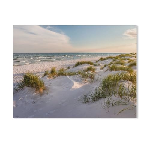 GSBRSNTS Weißer Sandstrand von Dueodde auf Bornholm,Malen Nach Zahlen-Ölgemälde Geschenk Für Erwachsene Kinder Malen Nach Zahlen Kits Home Haus Dekor(50x60cm-AE39 GSBRSNTS Weißer Sandstrand von Dueodde auf Bornholm,Malen Nach Zahlen-Ölgemälde Geschenk Für Erwachsene Kinder Malen Nach Zahlen Kits Home Haus Dekor(50x60cm-AE39 von GSBRSNTS