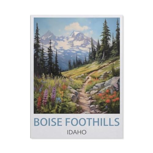 Malen Nach Zahlen Erwachsene，Boise Foothills, Idaho，Malen Nach Zahlen Mit Pinseln und Acrylfarbe,DIY Set Basteln Erwachsene mit Pinseln und Acrylfarben für Home Decor（40x50cm）15.7x19.6 Zoll-U47 von GSBRSNTS
