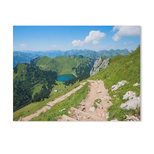 Malen Nach Zahlen Erwachsene，Wanderweg am Stockhorn，Malen Nach Zahlen Mit Pinseln und Acrylfarbe,DIY Set Basteln Erwachsene mit Pinseln und Acrylfarben für Home Decor（40x50cm）15.7x19.6 Zoll-Y47 von GSBRSNTS