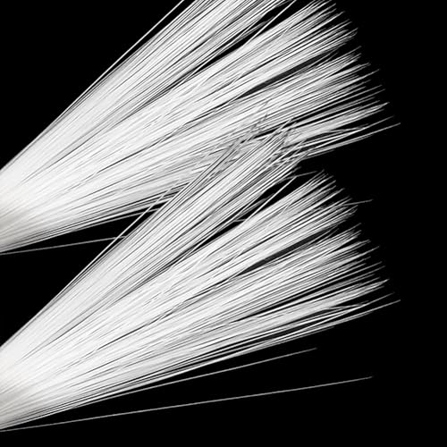 GSHLLO 600 Stück 7,5 cm Nadelfilz-Tier-Schnurrhaare simulierte Katzen-Schnurrhaare Faux Bunny Whisker Realistische Tiere Schnurrhaare DIY Filz Tierbedarf für Mäuse Kätzchen Weiß GSHLLO 600 Stück 7,5 cm Nadelfilz-Tier-Schnurrhaare simulierte Katzen-Schnurrhaare Faux Bunny Whisker Realistische Tiere Schnurrhaare DIY Filz Tierbedarf für Mäuse Kätzchen Weiß von GSHLLO