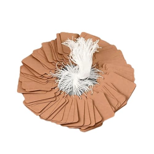 300 Stück Anhänger Etiketten Preisschilder Kraftpapier 15x25cm mit Faden 100 Stück pro Packung (3 Packungen) für Kleidung, Schmuck, Ladenausstattung und Handwerk von GSKQCRPR