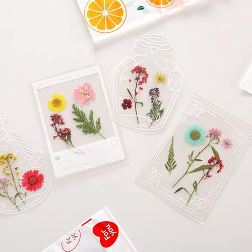 Transparentes Lesezeichen für getrocknete Blumen, inklusive klaren Lesezeichen, getrockneten Blumen, bunten Quasten, Locher und Pinzette, handgefertigtes Lesezeichen für Leserbuch Transparentes Lesezeichen für getrocknete Blumen, inklusive klaren Lesezeichen, getrockneten Blumen, bunten Quasten, Locher und Pinzette, handgefertigtes Lesezeichen für Leserbuch von GTCAIXIA