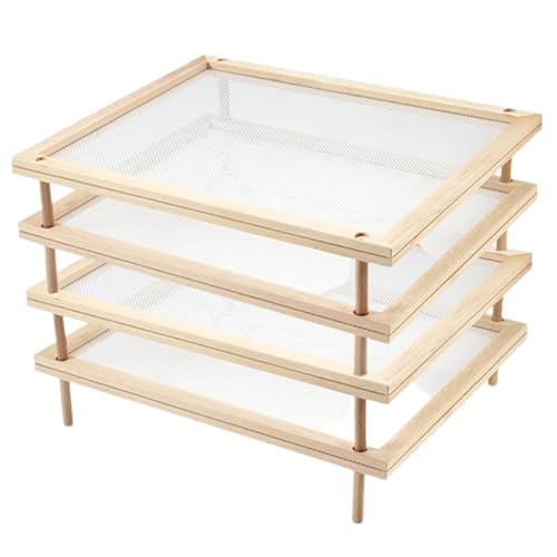 GTFYUDGH 39×24.5cm Pasta Trockengestell, Stapelbarer Nudel Trockengestell, Trockenplatte Für Pasta, Kräutertrockner Stapelbar, Pasta Trockner Netz Lebensmitteltrockner Kräutertrockner GTFYUDGH 39×24.5cm Pasta Trockengestell, Stapelbarer Nudel Trockengestell, Trockenplatte Für Pasta, Kräutertrockner Stapelbar, Pasta Trockner Netz Lebensmitteltrockner Kräutertrockner von GTFYUDGH