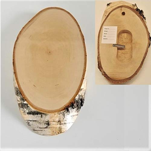 Birke Schild Trophäenschild REH Rehbock Geweih Baumscheibe Baumschild Natur Holz modern mit Kieferfach von GTK - Geweihe & Trophäen KRUMHOLZ