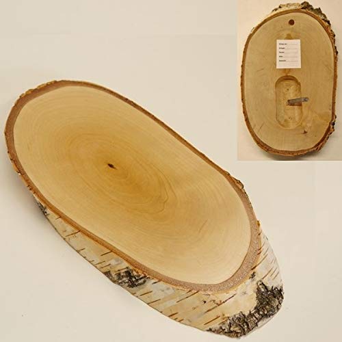 Birke Schild Trophäenschild REH groß Rehbock Geweih Baumscheibe Baumschild Natur Holz modern mit Kieferfach von GTK - Geweihe & Trophäen KRUMHOLZ