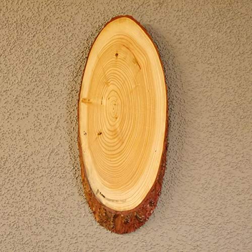 GTK - Geweihe & Trophäen KRUMHOLZ Lärche Rothirsch Hirsch Schild Trophäenschild Geweih Baumscheibe Baumschild Natur Holz modern von GTK - Geweihe & Trophäen KRUMHOLZ