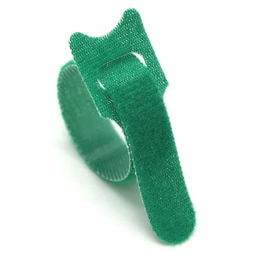 20–200 Stück lösbare Kabelbinder für Maus-Kopfhörer, Kabelmanagement, Nylon-Kabelbinder, wiederverwendbare Schlaufenbänder, Bänder, Grün, 250 mm x 100 Stück 20–200 Stück lösbare Kabelbinder für Maus-Kopfhörer, Kabelmanagement, Nylon-Kabelbinder, wiederverwendbare Schlaufenbänder, Bänder, Grün, 250 mm x 100 Stück von GTYFRD