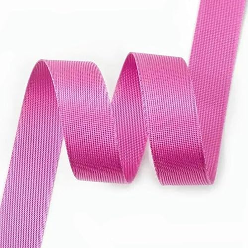 3,0 m 20/25/32/38/50 mm Nylon-Gurtband, Rucksackgurt, Haustierhalsband, Band, DIY-Tasche, Kleidung, Nähzubehör, Hellrosarot, 20 mm 3,0 m 20/25/32/38/50 mm Nylon-Gurtband, Rucksackgurt, Haustierhalsband, Band, DIY-Tasche, Kleidung, Nähzubehör, Hellrosarot, 20 mm von GTYFRD