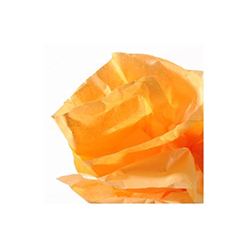 GUARRO CANSON 200992661 Rolle Seidenpapier, 0.5 x 5 m, orange von Canson