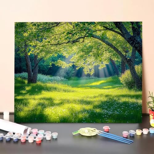 Malen Nach Zahlen Erwachsene Baum, Malen Nach Zahlen Pflanze, Paint by Numbers Basteln Erwachsene Mit 3 - Pinseln und Acrylfarbe Leinwand Kit für Heimdekoration, Geschenk 30 x 40 cm (Ohne Rahmen) 6Q-1 von GUERUUIE