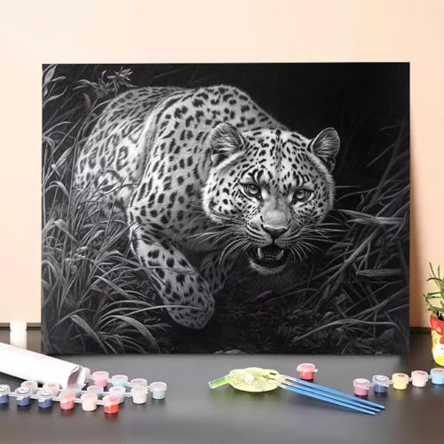 Malen Nach Zahlen Erwachsene Leopard, Handgemalt Ölgemälde Leinwand für Anfänger, Malen Nach Zahlen Tier Bastelset Erwachsene, Paint by Numbers für Heimdekoration, Geschenk 30x40cm (Ohne Rahmen) 5Q-S von GUERUUIE