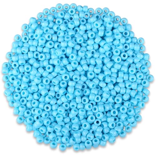 GUJOXILA 1000 Stück Hellblau Pony Perlen mit Zum Auffädeln Große Loch 6x9mm Kandi Beads Bastelperlen Pony Beads Perlen Set für Armbänder Halsketten Schlüsselanhänger Schmuckherstellung von GUJOXILA