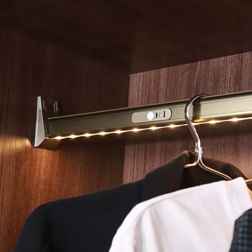 2-in-1 Kleiderstange, Kleiderstange für den Kleiderschrank mit integrierter LED-Beleuchtung, Kleiderstange aus Aluminium zum Aufhängen von Kleidung, Betrieb mit Lithiumbatterie, Tragkraft 50 kg(950mm) 2-in-1 Kleiderstange, Kleiderstange für den Kleiderschrank mit integrierter LED-Beleuchtung, Kleiderstange aus Aluminium zum Aufhängen von Kleidung, Betrieb mit Lithiumbatterie, Tragkraft 50 kg(950mm) von GUODDM