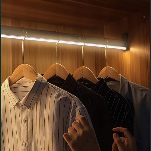 2-in-1 Kleiderstange, Kleiderstange für den Kleiderschrank mit integrierter LED-Beleuchtung, Kleiderstange aus Aluminium zum Aufhängen von Kleidung, Betrieb mit Lithiumbatterie, Tragkraft 50 kg(500mm) 2-in-1 Kleiderstange, Kleiderstange für den Kleiderschrank mit integrierter LED-Beleuchtung, Kleiderstange aus Aluminium zum Aufhängen von Kleidung, Betrieb mit Lithiumbatterie, Tragkraft 50 kg(500mm) von GUODDM