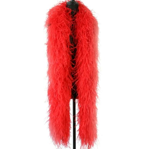 GUOZHAN 1–20-lagig gefärbte, Flauschige Straußenfedern, roter Straußenfederschal für Hochzeitskleid, Party-Accessoire, Dekoration, 2 Meter GUOZHAN 1–20-lagig gefärbte, Flauschige Straußenfedern, roter Straußenfederschal für Hochzeitskleid, Party-Accessoire, Dekoration, 2 Meter von GUOZHAN