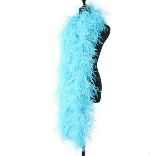 GUOZHAN 1–20-lagig gefärbte, Flauschige Straußenfedern, roter Straußenfederschal für Hochzeitskleid, Party-Accessoire, Dekoration, 2 Meter GUOZHAN 1–20-lagig gefärbte, Flauschige Straußenfedern, roter Straußenfederschal für Hochzeitskleid, Party-Accessoire, Dekoration, 2 Meter von GUOZHAN