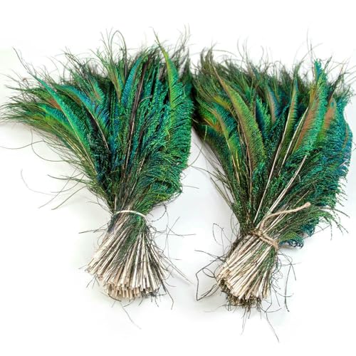 GUOZHAN 10-100 STÜCKE Natürliche Pfauenschwertfedern 30-35 cm/12-14 Zoll Grüne Federn für Handwerk Hochzeit Home Party Decor Plumes Zubehör GUOZHAN 10-100 STÜCKE Natürliche Pfauenschwertfedern 30-35 cm/12-14 Zoll Grüne Federn für Handwerk Hochzeit Home Party Decor Plumes Zubehör von GUOZHAN