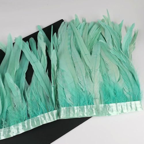 GUOZHAN 10 Meter Hahnenschwanzfedern Trim 25-30cm Coque Federn Trimmen Für Handarbeit Handwerk Karneval Kleid Rock Kostüme Plumes GUOZHAN 10 Meter Hahnenschwanzfedern Trim 25-30cm Coque Federn Trimmen Für Handarbeit Handwerk Karneval Kleid Rock Kostüme Plumes von GUOZHAN