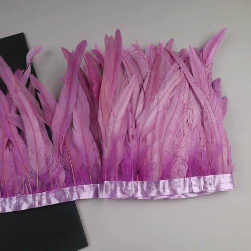 GUOZHAN 10 Meter Hahnenschwanzfedern Trim 25-30cm Coque Federn Trimmen Für Handarbeit Handwerk Karneval Kleid Rock Kostüme Plumes GUOZHAN 10 Meter Hahnenschwanzfedern Trim 25-30cm Coque Federn Trimmen Für Handarbeit Handwerk Karneval Kleid Rock Kostüme Plumes von GUOZHAN