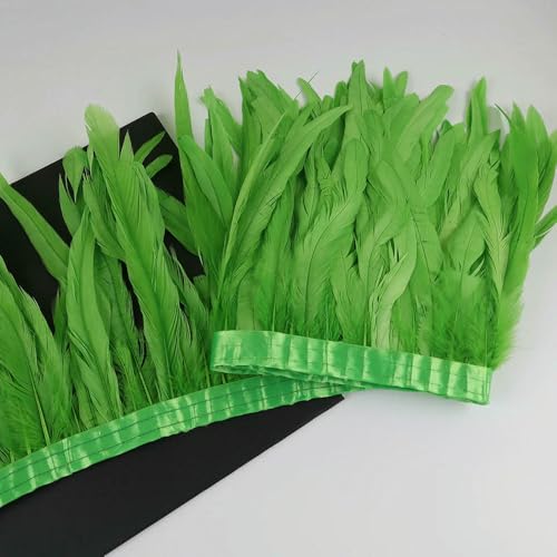 GUOZHAN 10 Meter Hahnenschwanzfedern Trim 25-30cm Coque Federn Trimmen Für Handarbeit Handwerk Karneval Kleid Rock Kostüme Plumes GUOZHAN 10 Meter Hahnenschwanzfedern Trim 25-30cm Coque Federn Trimmen Für Handarbeit Handwerk Karneval Kleid Rock Kostüme Plumes von GUOZHAN