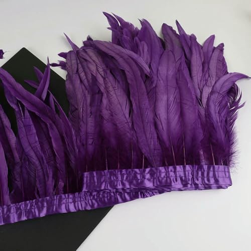 GUOZHAN 10 Meter Hahnenschwanzfedern Trim 25-30cm Coque Federn Trimmen Für Handarbeit Handwerk Karneval Kleid Rock Kostüme Plumes GUOZHAN 10 Meter Hahnenschwanzfedern Trim 25-30cm Coque Federn Trimmen Für Handarbeit Handwerk Karneval Kleid Rock Kostüme Plumes von GUOZHAN
