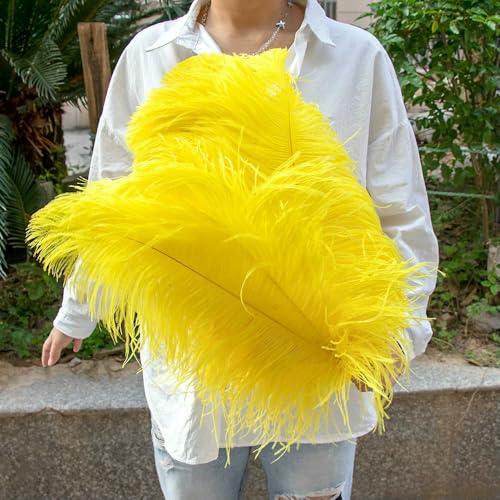 GUOZHAN 10 Stück große Straußenfedern, 15–60 cm, für DIY-Bastelarbeiten, Hochzeit, Tischdekoration, Straußenfedern, Karneval, Party, Bühnenzubehör, Großpackung GUOZHAN 10 Stück große Straußenfedern, 15–60 cm, für DIY-Bastelarbeiten, Hochzeit, Tischdekoration, Straußenfedern, Karneval, Party, Bühnenzubehör, Großpackung von GUOZHAN