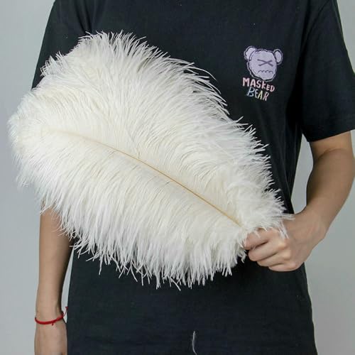 GUOZHAN 10 Stück große Straußenfedern, 15–60 cm, für DIY-Bastelarbeiten, Hochzeit, Tischdekoration, Straußenfedern, Karneval, Party, Bühnenzubehör, Großpackung GUOZHAN 10 Stück große Straußenfedern, 15–60 cm, für DIY-Bastelarbeiten, Hochzeit, Tischdekoration, Straußenfedern, Karneval, Party, Bühnenzubehör, Großpackung von GUOZHAN