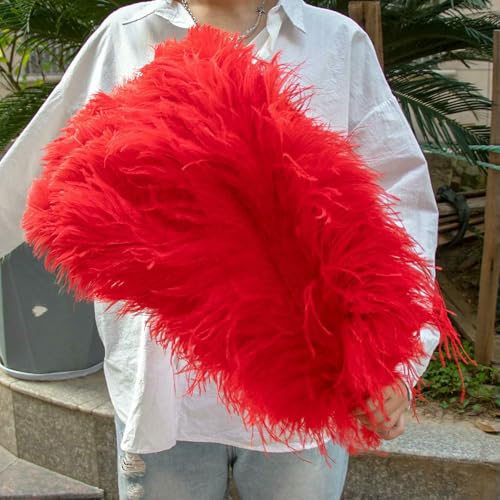 GUOZHAN 10 Stück große Straußenfedern, 15–60 cm, für DIY-Bastelarbeiten, Hochzeit, Tischdekoration, Straußenfedern, Karneval, Party, Bühnenzubehör, Großpackung GUOZHAN 10 Stück große Straußenfedern, 15–60 cm, für DIY-Bastelarbeiten, Hochzeit, Tischdekoration, Straußenfedern, Karneval, Party, Bühnenzubehör, Großpackung von GUOZHAN