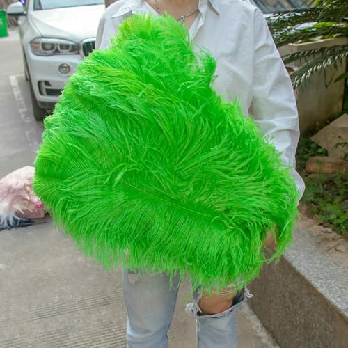 GUOZHAN 10 Stück große Straußenfedern, 15–60 cm, für DIY-Bastelarbeiten, Hochzeit, Tischdekoration, Straußenfedern, Karneval, Party, Bühnenzubehör, Großpackung GUOZHAN 10 Stück große Straußenfedern, 15–60 cm, für DIY-Bastelarbeiten, Hochzeit, Tischdekoration, Straußenfedern, Karneval, Party, Bühnenzubehör, Großpackung von GUOZHAN