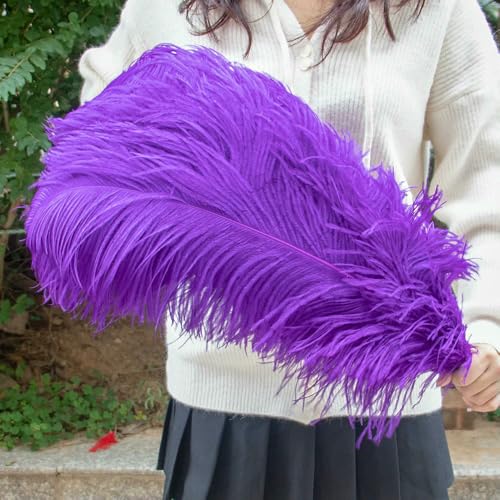 GUOZHAN 10 Stück große Straußenfedern, 15–60 cm, für DIY-Bastelarbeiten, Hochzeit, Tischdekoration, Straußenfedern, Karneval, Party, Bühnenzubehör, Großpackung GUOZHAN 10 Stück große Straußenfedern, 15–60 cm, für DIY-Bastelarbeiten, Hochzeit, Tischdekoration, Straußenfedern, Karneval, Party, Bühnenzubehör, Großpackung von GUOZHAN