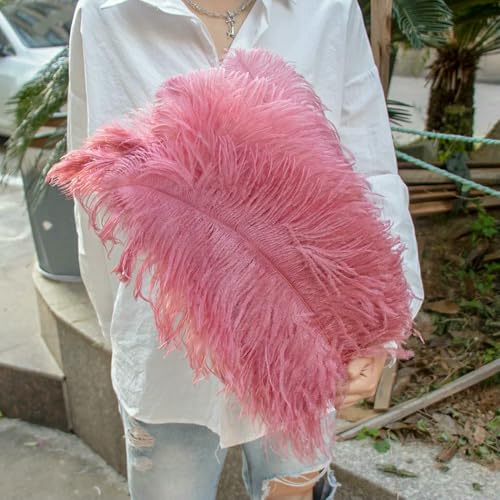 GUOZHAN 10 Stück große Straußenfedern, 15–60 cm, für DIY-Bastelarbeiten, Hochzeit, Tischdekoration, Straußenfedern, Karneval, Party, Bühnenzubehör, Großpackung GUOZHAN 10 Stück große Straußenfedern, 15–60 cm, für DIY-Bastelarbeiten, Hochzeit, Tischdekoration, Straußenfedern, Karneval, Party, Bühnenzubehör, Großpackung von GUOZHAN