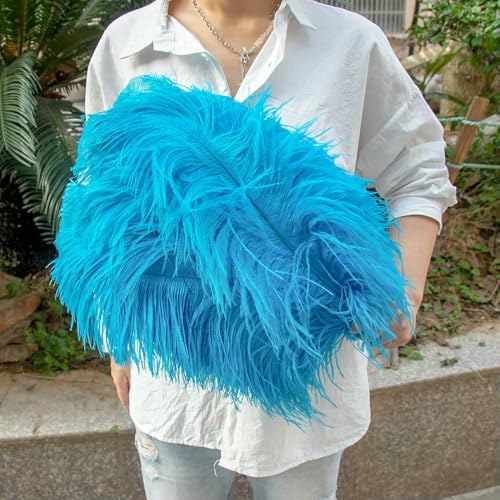 GUOZHAN 10 Stück große Straußenfedern, 15–60 cm, für DIY-Bastelarbeiten, Hochzeit, Tischdekoration, Straußenfedern, Karneval, Party, Bühnenzubehör, Großpackung GUOZHAN 10 Stück große Straußenfedern, 15–60 cm, für DIY-Bastelarbeiten, Hochzeit, Tischdekoration, Straußenfedern, Karneval, Party, Bühnenzubehör, Großpackung von GUOZHAN