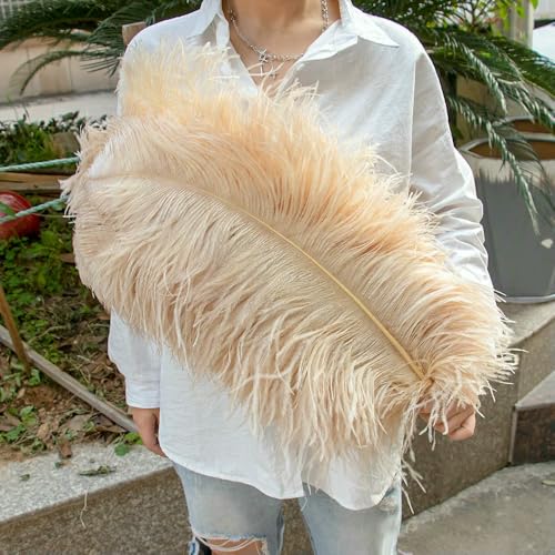 GUOZHAN 10 Stück große Straußenfedern, 15–60 cm, für DIY-Bastelarbeiten, Hochzeit, Tischdekoration, Straußenfedern, Karneval, Party, Bühnenzubehör, Großpackung GUOZHAN 10 Stück große Straußenfedern, 15–60 cm, für DIY-Bastelarbeiten, Hochzeit, Tischdekoration, Straußenfedern, Karneval, Party, Bühnenzubehör, Großpackung von GUOZHAN