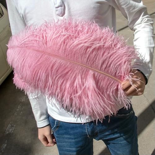 GUOZHAN 10 Stück große Straußenfedern, 15–60 cm, für DIY-Bastelarbeiten, Hochzeit, Tischdekoration, Straußenfedern, Karneval, Party, Bühnenzubehör, Großpackung GUOZHAN 10 Stück große Straußenfedern, 15–60 cm, für DIY-Bastelarbeiten, Hochzeit, Tischdekoration, Straußenfedern, Karneval, Party, Bühnenzubehör, Großpackung von GUOZHAN