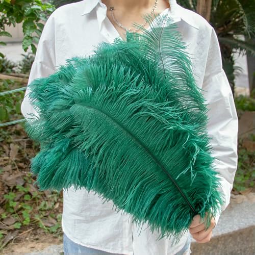 GUOZHAN 10 Stück große Straußenfedern, 15–60 cm, für DIY-Bastelarbeiten, Hochzeit, Tischdekoration, Straußenfedern, Karneval, Party, Bühnenzubehör, Großpackung GUOZHAN 10 Stück große Straußenfedern, 15–60 cm, für DIY-Bastelarbeiten, Hochzeit, Tischdekoration, Straußenfedern, Karneval, Party, Bühnenzubehör, Großpackung von GUOZHAN