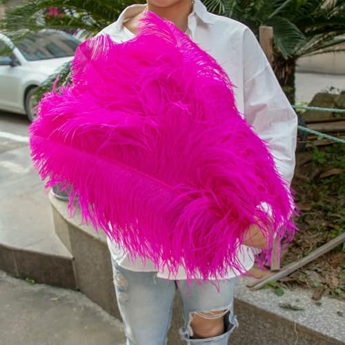 GUOZHAN 10 Stück große Straußenfedern, 15–60 cm, für DIY-Bastelarbeiten, Hochzeit, Tischdekoration, Straußenfedern, Karneval, Party, Bühnenzubehör, Großpackung GUOZHAN 10 Stück große Straußenfedern, 15–60 cm, für DIY-Bastelarbeiten, Hochzeit, Tischdekoration, Straußenfedern, Karneval, Party, Bühnenzubehör, Großpackung von GUOZHAN