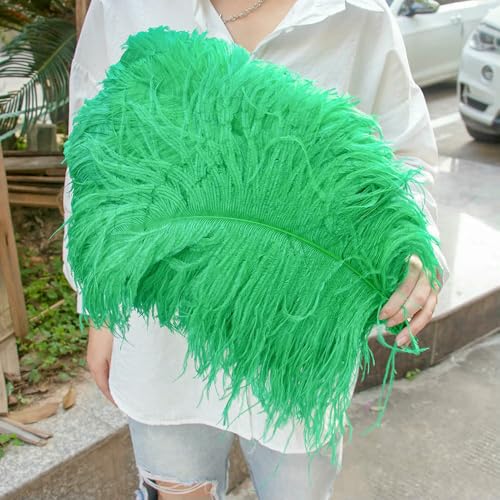 GUOZHAN 10 Stück große Straußenfedern, 15–60 cm, für DIY-Bastelarbeiten, Hochzeit, Tischdekoration, Straußenfedern, Karneval, Party, Bühnenzubehör, Großpackung GUOZHAN 10 Stück große Straußenfedern, 15–60 cm, für DIY-Bastelarbeiten, Hochzeit, Tischdekoration, Straußenfedern, Karneval, Party, Bühnenzubehör, Großpackung von GUOZHAN
