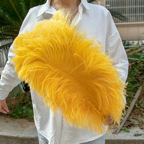 GUOZHAN 10 Stück große Straußenfedern, 15–60 cm, für DIY-Bastelarbeiten, Hochzeit, Tischdekoration, Straußenfedern, Karneval, Party, Bühnenzubehör, Großpackung GUOZHAN 10 Stück große Straußenfedern, 15–60 cm, für DIY-Bastelarbeiten, Hochzeit, Tischdekoration, Straußenfedern, Karneval, Party, Bühnenzubehör, Großpackung von GUOZHAN